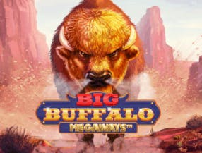 game logo by Skywind Group on spellwinno.com