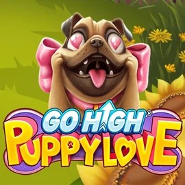 game logo by RubyPlay on spellwinno.com